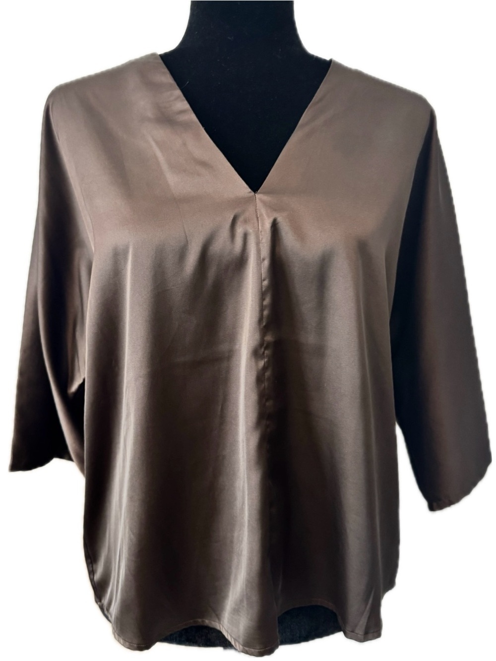 Banana Republic Factory Satin V-Neck Blouse Brown Short Sleeve Small Minimalist